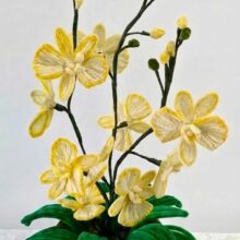 ​Composizione "Orchidea Phalaenopsis" in filo di Ciniglia con Punti Luce - Bianco Avorio e Giallo